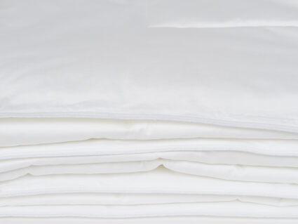 Одеяло Nature’S-Natura Sanat Шелковая идея легкое 200х220