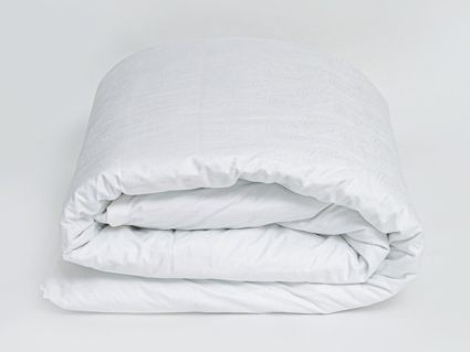 Комплект постельного белья German Grass Paisley Palette Grass