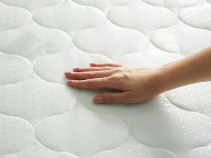 Матрас Димакс Оптима Ролл Кокос 80х195