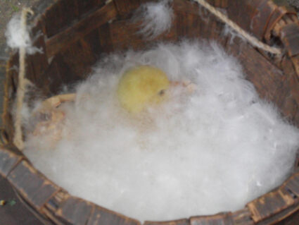 Подушка Nature’S-Natura Sanat Люкс 50х90