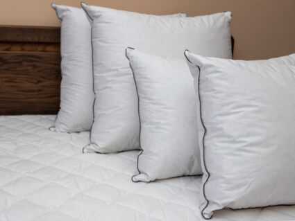 Подушка Nature’S-Natura Sanat Для мужчин 70х70