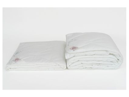 Одеяло German Grass Bamboo Familie Bio легкое 200х220