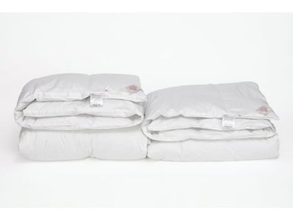 Одеяло German Grass White Familie Down всесезонное 200х200