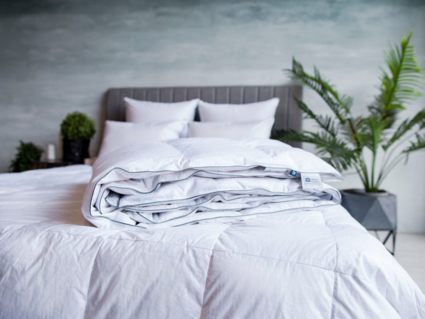 Одеяло German Grass Gray Familie Down всесезонное 140х205