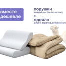 Одеяло Димакс Верблюд всесезонное + 2 подушки Sleeptek Norma-GEL BIG 140х205