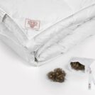 Одеяло German Grass EXCLUSIVE COTTON EIDER DOWN всесезонное 