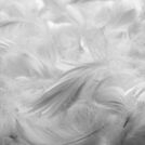 Подушка Nature’S-Natura Sanat Ночная гармония 50х70