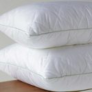 Подушка Flaum Home Organic 70х70
